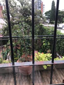a balcony with a pot of plants on it at Plaza Mitre, departamento 2 dormitorios in San Nicolás de los Arroyos