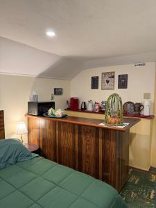 a bedroom with a kitchen with a counter top at Natalie House in Boston