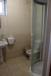 a bathroom with a toilet and a sink and a shower at Cottage CHILL ZONE in Yaremche +45 photos