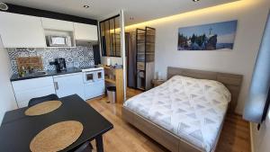 a small kitchen with a bed and a table in a room at Studio in Chambéry +8 photos
