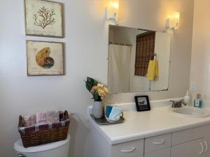 a bathroom with a sink and a mirror over a toilet at Suit with Kitchen & Bath in Cocoa