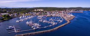 an aerial view of a marina with boats in the water at Bernice Mae's Ocean View in Lewisporte
