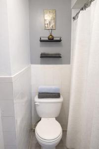 a bathroom with a white toilet and a shower curtain at Location! Location! 2bd 1bth spacious apartment! in Chicago