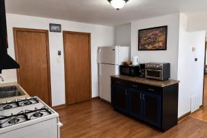a kitchen with a stove and a refrigerator at Location! Location! 2bd 1bth spacious apartment! in Chicago