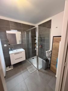 a bathroom with a shower and a sink and a mirror at Grand Studio Neuf in Ajaccio