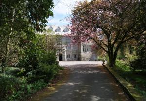 a driveway leading to a large stone building with a tree at Hengar Select in Saint Tudy