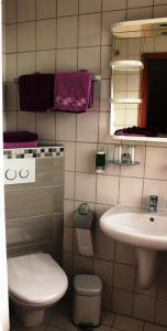 Gäste-Haus Rösch في Wiesent: حمام مع مرحاض ومغسلة