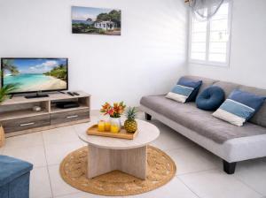 a living room with a couch and a tv at T3 climatisé avec terrasse proche plages in Rivière-Pilote