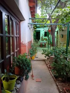 a courtyard of a house with potted plants at Hostal Mechita Mamani in Cafayate