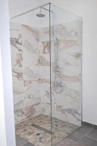 a shower with a glass door in a bathroom at Kaza Domi studio in Le Lamentin
