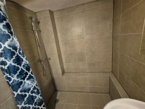 a bathroom with a shower with a toilet at Ferien & Monteure Residence in Schauenburg +12 photos
