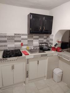 a kitchen with black cabinets and a sink at Casa centrica in Hermosillo +16 photos
