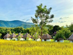 a row of houses in a field of grass at KuangSi Resort in Luang Prabang