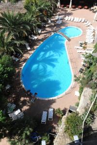 - une vue sur la piscine bordée de chaises et de palmiers dans l'établissement Hotel President, à Marsala