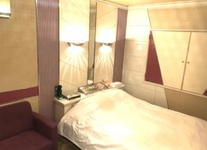 a bedroom with a bed and a mirror and a chair at ホテルアドレ大人専用 in Hachinohe