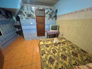 ein Zimmer mit einem Bett und einem Fernseher in der Unterkunft Hotel Henderson in San Pedro La Laguna + 46 Fotos