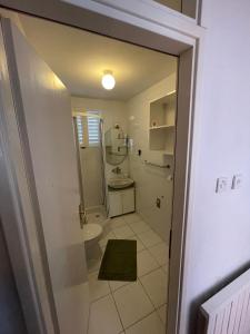 a bathroom with a toilet and a sink at Apartment Bugenvila in Vrboska