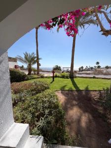 a person standing in a park with palm trees at MDS Coral Bay Pearl Sea View Resort in Sharm El Sheikh