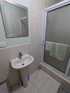 a bathroom with a sink and a shower with a mirror at Comsee Apartment Saint Mary in Highgate +32 photos