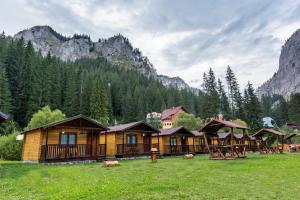 a group of wooden cabins in a field with mountains at Casutele Suhardul Mic in Lacu Rosu
