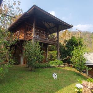 a cat sitting in the grass in front of a house at Camelliana Horizon Pongyang - Nature Retreat in Mae Rim