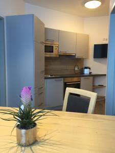 - une cuisine avec une table et une plante en pot dans l'établissement Appartements Insieme, à Obertauern