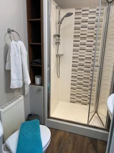 a bathroom with a shower with a toilet and a sink at The Suite in Tosside +11 photos