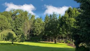 a field of green grass with trees in the background at Dům pod horami - Beskydy in Frýdlant nad Ostravicí