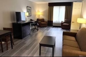 a living room with a couch and a tv and a table at Comfort Inn & Suites Tampa North I-75 in Tampa