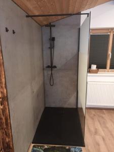 a shower with a glass door in a room at Fewo zum schwarzen Hirsch in Dalaas