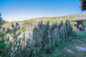 a garden with purple flowers in front of a house at Chalet Mungg in Bettmeralp