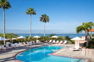 a swimming pool with lounge chairs and palm trees at Grand Hyatt Tampa Bay in Tampa