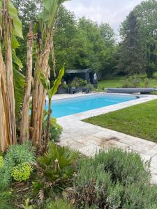 a swimming pool in a garden with plants at Les logis du Landron in Plessé