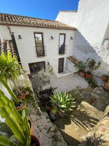 a house with potted plants in front of it at Casa Tohca Setenil in Setenil