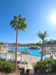 a pool with chairs and umbrellas and palm trees at MDS Coral Bay Pearl Sea View Resort in Sharm El Sheikh