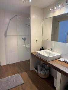 a bathroom with a sink and a shower at Exceptional house by Lake Geneva in Versoix +7 photos