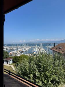a view of a marina with boats in the water at Exceptional house by Lake Geneva in Versoix