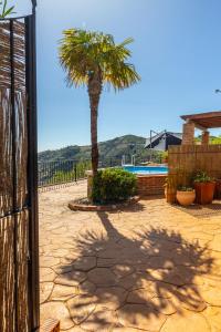 a palm tree sitting next to a swimming pool at Casa Mira in Cómpeta