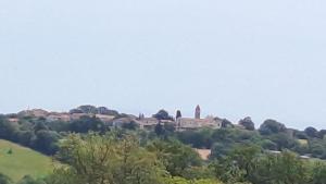a house on top of a hill with trees at Dimora dei nonni in Poggioferro