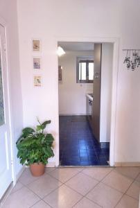 a hallway with a potted plant in a room at Tana di Zia Nature, Yourself, Love in Viggianello