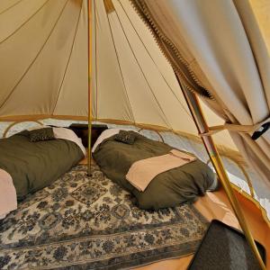 two pillows are sitting inside of a tent at Alaskan Glamping in Anchorage