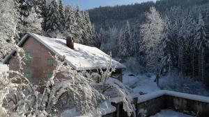 a house covered in snow in a forest at Gîte de Très Bayard in Saint-Claude