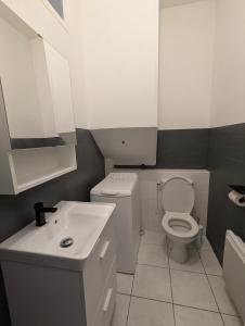 a white bathroom with a toilet and a sink at Appartement montagne in Eaux-Bonnes +8 photos