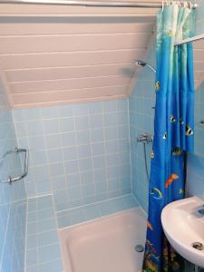 a bathroom with a blue shower curtain and a sink at Ferienhaus Lisa in Klingenthal +16 photos