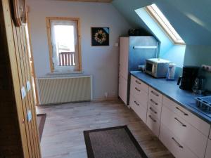 a kitchen with a refrigerator and a window at Ferienhaus Lisa in Klingenthal