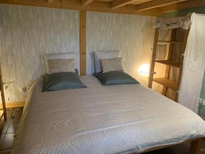 a bedroom with a large bed with blue pillows at Le cocon Laina Piscine & spa optionnel in Irissarry