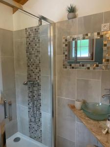 a bathroom with a shower and a sink at Le cocon Laina Piscine & spa optionnel in Irissarry +12 photos