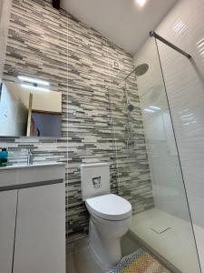 a bathroom with a toilet and a shower at A Casinha in Ventuzelo
