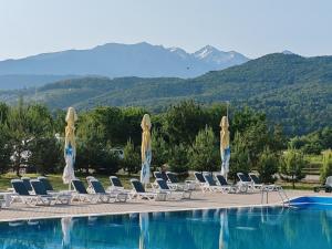a group of chairs and umbrellas next to a swimming pool at Complex Turistic Brândușa in Avrig