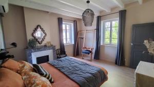 a bedroom with a bed and a fireplace at 16 Bis-Gîte-Hôtel-Appartement in Marssac-sur-Tarn